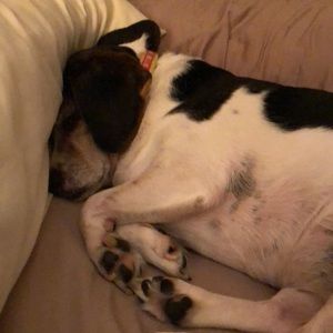 Meet your Posher, Carolyn